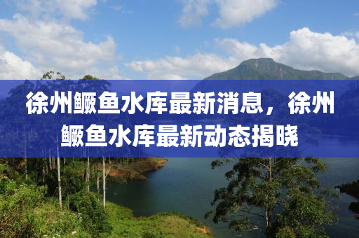 徐州鳜鱼水库最新消息，徐州鳜鱼水库最新动态揭晓