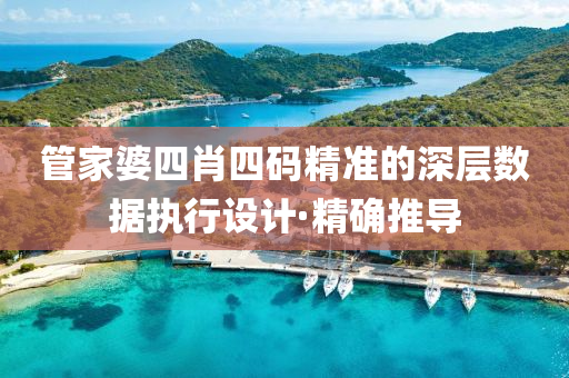 管家婆四肖四码精准的深层数据执行设计·精确推导