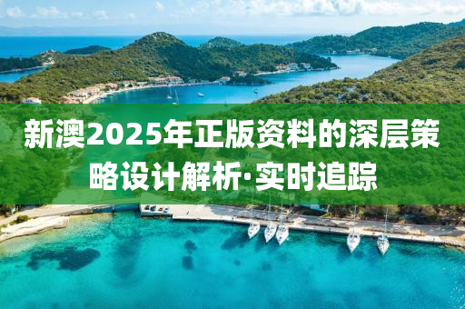 新澳2025年正版资料的深层策略设计解析·实时追踪