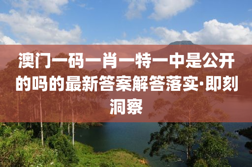 澳门一码一肖一特一中是公开的吗的最新答案解答落实·即刻洞察