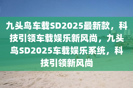 九头鸟车载SD2025最新款，科技引领车载娱乐新风尚，九头鸟SD2025车载娱乐系统，科技引领新风尚
