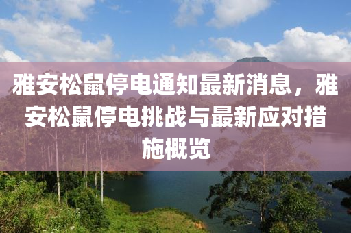 雅安松鼠停电通知最新消息，雅安松鼠停电挑战与最新应对措施概览