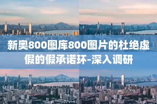 新奥800图库800图片的杜绝虚假的假承诺环-深入调研