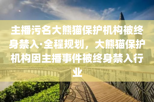 主播污名大熊猫保护机构被终身禁入·全程规划，大熊猫保护机构因主播事件被终身禁入行业