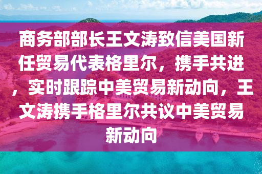 商务部部长王文涛致信美国新任贸易代表格里尔，携手共进，实时跟踪中美贸易新动向，王文涛携手格里尔共议中美贸易新动向
