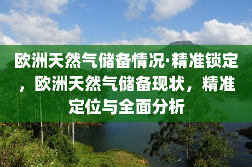 欧洲天然气储备情况·精准锁定，欧洲天然气储备现状，精准定位与全面分析