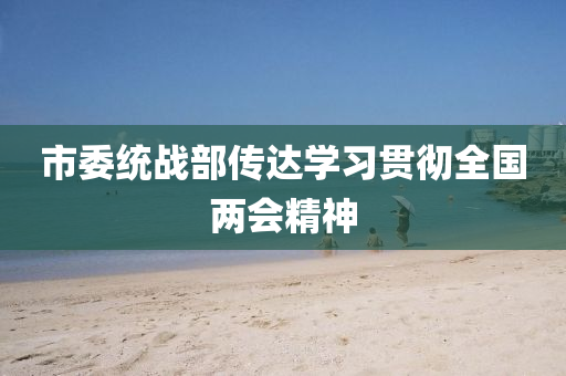 市委统战部传达学习贯彻全国两会精神