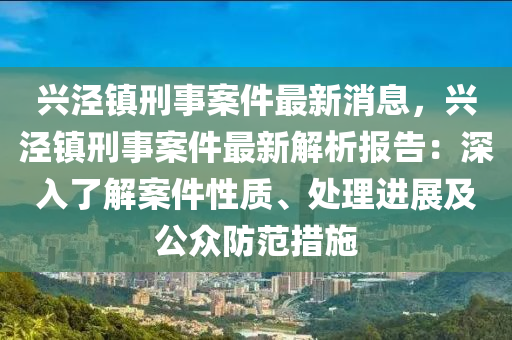 兴泾镇刑事案件最新消息，兴泾镇刑事案件最新解析报告：深入了解案件性质、处理进展及公众防范措施
