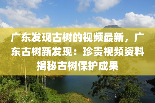 广东发现古树的视频最新，广东古树新发现：珍贵视频资料揭秘古树保护成果