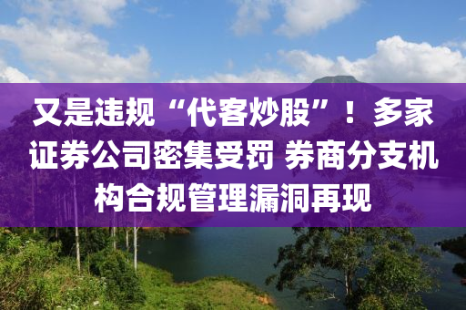 2025年3月15日 第12页