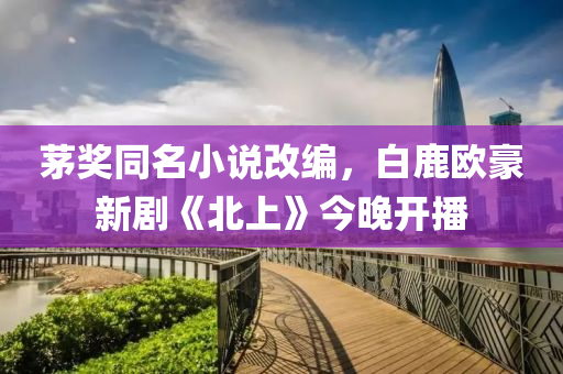 茅奖同名小说改编，白鹿欧豪新剧《北上》今晚开播