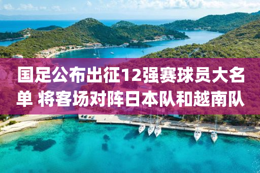 国足公布出征12强赛球员大名单 将客场对阵日本队和越南队