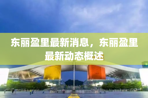 东丽盈里最新消息，东丽盈里最新动态概述