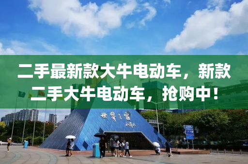 二手最新款大牛电动车，新款二手大牛电动车，抢购中！
