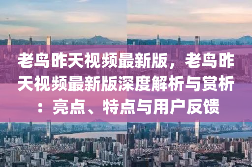 老鸟昨天视频最新版，老鸟昨天视频最新版深度解析与赏析：亮点、特点与用户反馈