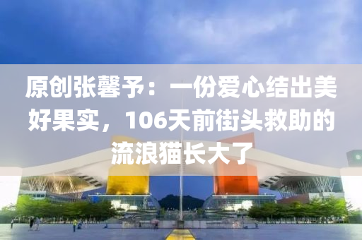 2025年3月17日 第22页