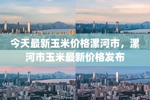 今天最新玉米价格漯河市，漯河市玉米最新价格发布
