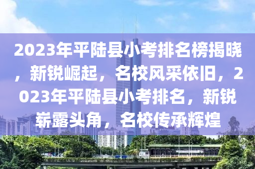 2023年平陆县小考排名榜揭晓，新锐崛起，名校风采依旧，2023年平陆县小考排名，新锐崭露头角，名校传承辉煌