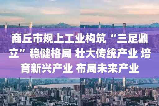 2025年3月17日 第17页