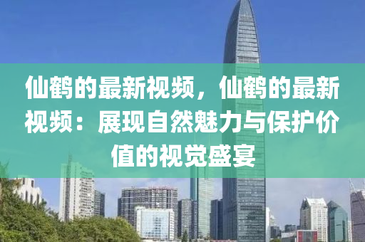 仙鹤的最新视频，仙鹤的最新视频：展现自然魅力与保护价值的视觉盛宴