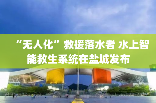 2025年3月17日 第12页