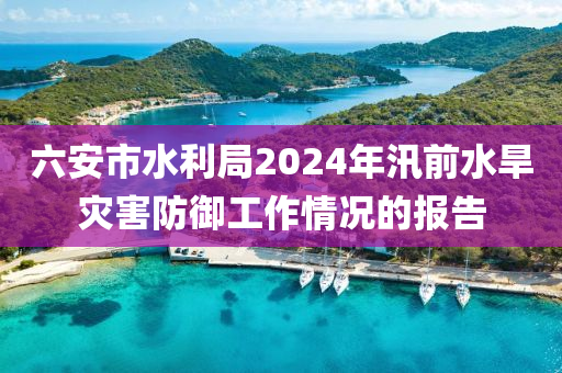 六安市水利局2024年汛前水旱灾害防御工作情况的报告