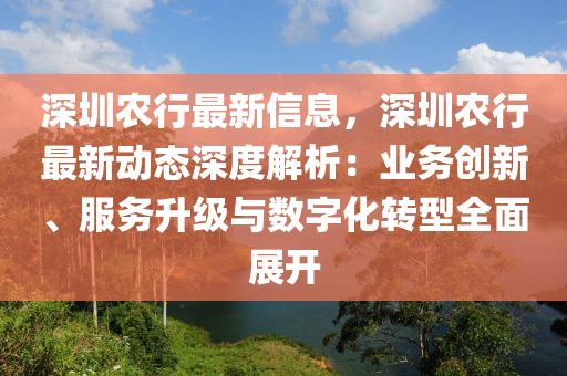 深圳农行最新信息，深圳农行最新动态深度解析：业务创新、服务升级与数字化转型全面展开