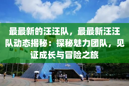 最最新的汪汪队，最最新汪汪队动态揭秘：探秘魅力团队，见证成长与冒险之旅