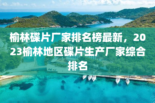 榆林碟片厂家排名榜最新，2023榆林地区碟片生产厂家综合排名