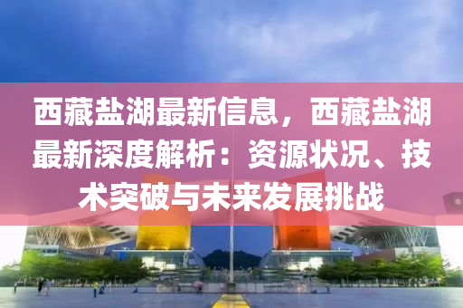 西藏盐湖最新信息，西藏盐湖最新深度解析：资源状况、技术突破与未来发展挑战