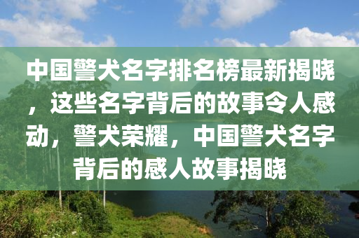 中国警犬名字排名榜最新揭晓，这些名字背后的故事令人感动，警犬荣耀，中国警犬名字背后的感人故事揭晓