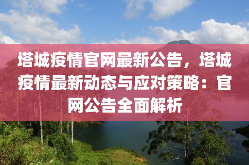 塔城疫情官网最新公告，塔城疫情最新动态与应对策略：官网公告全面解析