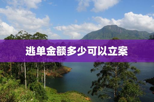 逃单金额多少可以立案