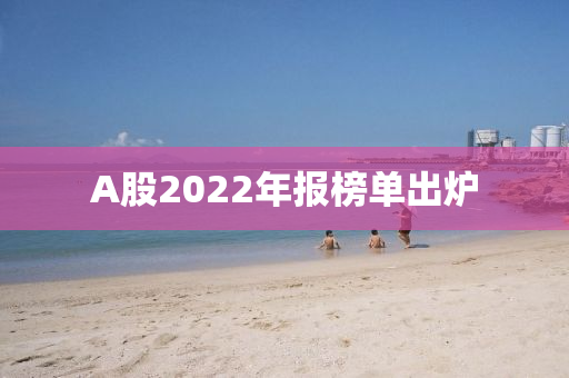 A股2022年报榜单出炉