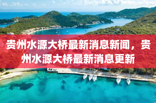 贵州水源大桥最新消息新闻，贵州水源大桥最新消息更新