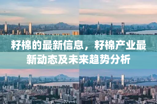 籽棉的最新信息，籽棉产业最新动态及未来趋势分析
