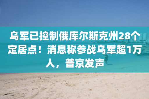 乌军已控制俄库尔斯克州28个定居点！消息称参战乌军超1万人，普京发声