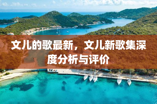 文儿的歌最新，文儿新歌集深度分析与评价