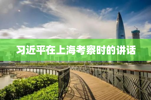 习近平在上海考察时的讲话