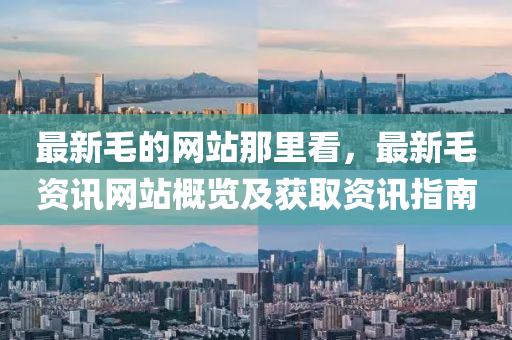 最新毛的网站那里看，最新毛资讯网站概览及获取资讯指南