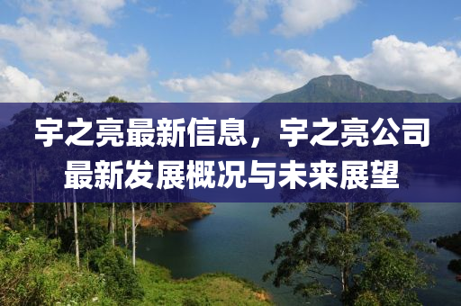 宇之亮最新信息，宇之亮公司最新发展概况与未来展望