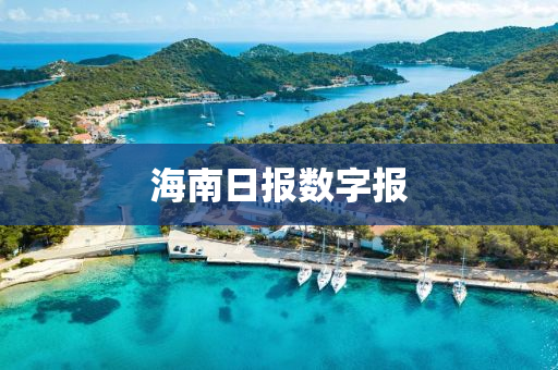 海南日报数字报