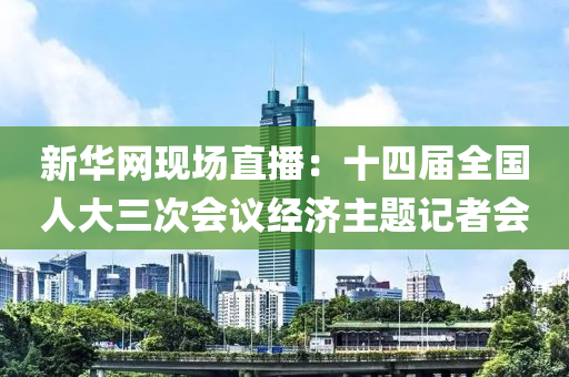 新华网现场直播：十四届全国人大三次会议经济主题记者会