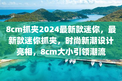 8cm抓夹2024最新款迷你，最新款迷你抓夹，时尚新潮设计亮相，8cm大小引领潮流