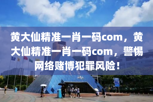 黄大仙精准一肖一码com，黄大仙精准一肖一码com，警惕网络赌博犯罪风险！