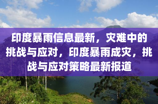 印度暴雨信息最新，灾难中的挑战与应对，印度暴雨成灾，挑战与应对策略最新报道