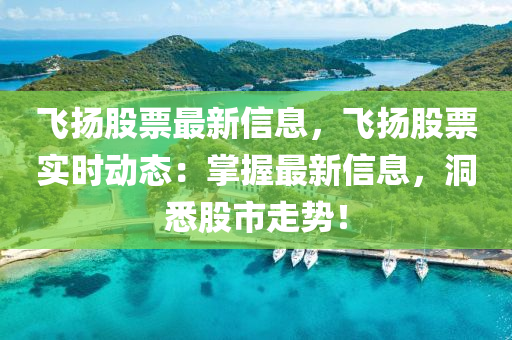 飞扬股票最新信息，飞扬股票实时动态：掌握最新信息，洞悉股市走势！