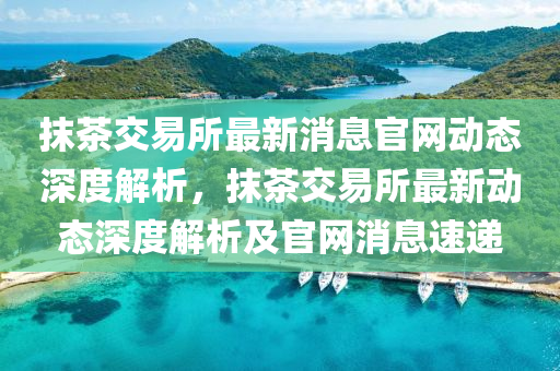 抹茶交易所最新消息官网动态深度解析，抹茶交易所最新动态深度解析及官网消息速递