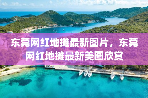 东莞网红地摊最新图片，东莞网红地摊最新美图欣赏
