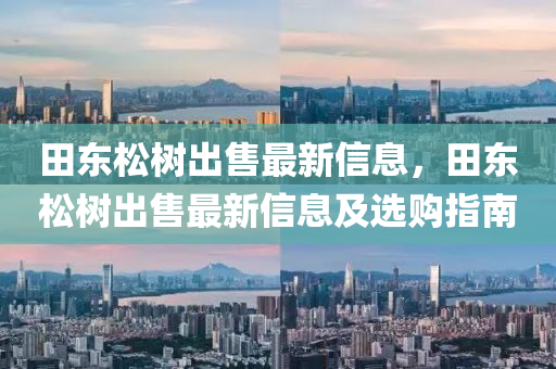 田东松树出售最新信息，田东松树出售最新信息及选购指南